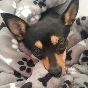 Meet your Posher, Kim